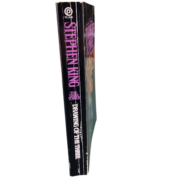 Stephen King The Dark Tower volume 1 2 3 - Softcovers in Good Condition - Picture 9 of 16